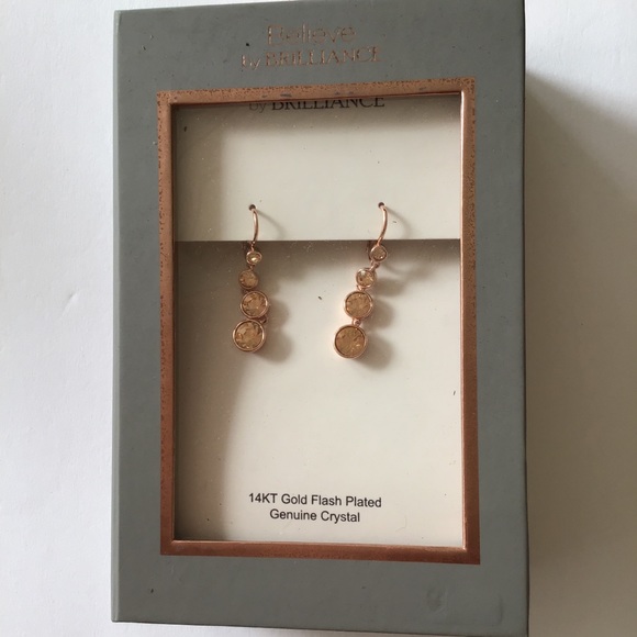 BELIEVE BY BRILLIANCE ROSE GOLD CRYSTAL DROP 14K GOLD FLASH PLATED EARRI… - Picture 4 of 10